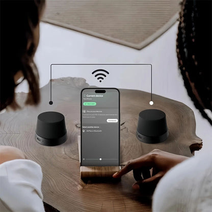 IPX6 Waterproof Magnetic Speaker & Phone Stand